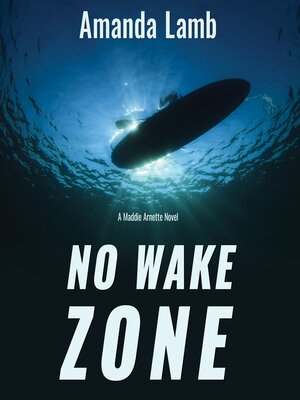 cover image of No Wake Zone